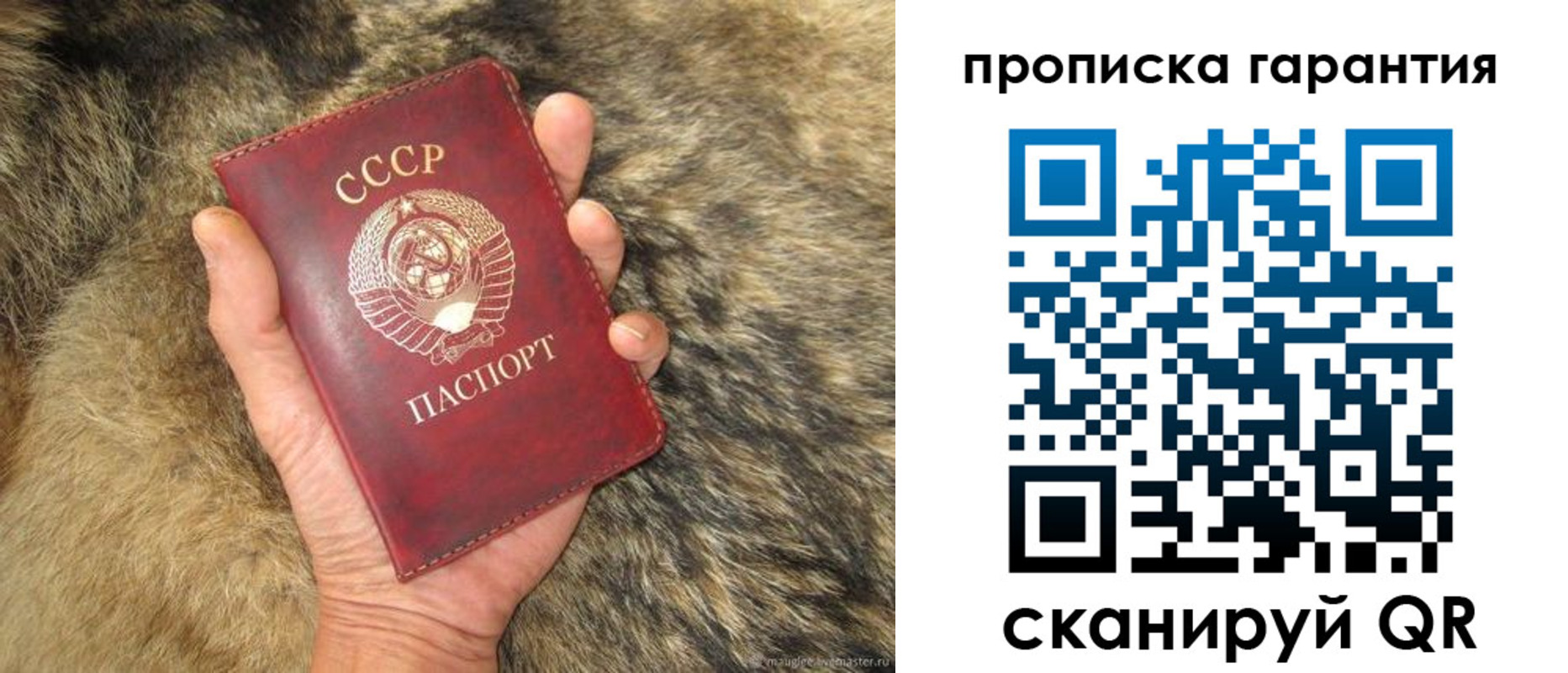 временная регистрация гарантия в Иваново